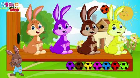 少儿卡通早教，给小兔子上色，并学习12种颜色