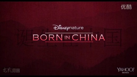 自然纪录片《Born In China》预告片 2015