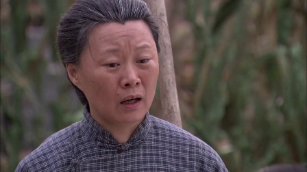 电视剧樱桃红高清38集全