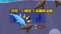 美味汪洋：小海豚受不了马戏团的生活，逃往大海一口吃下海狮