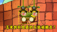 植物大战僵尸：玉米加农炮真的不能被搬走吗？蹦极僵尸：你想多了