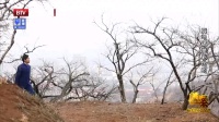 兵马俑！？，，，，