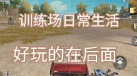 青铜选手日常训练，不练技术，不练走位，只为送小鱼下山游泳凉快