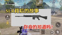 SLR背后的故事你真的知道吗？