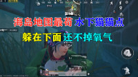 海岛地图最苟水下猫猫点，躲在下面还不掉氧气