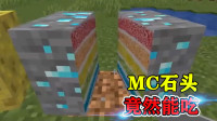 我的世界：方块内部隐藏什么？切开石头，里面竟是蛋糕！