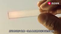 寻秦记实力排行榜预告TOP10 善柔(1)