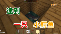 扩展生存第四期：逮到一只小鳄鱼——生存战争玄无