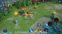 王者荣耀：小天哥带你玩转白起