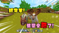 好不容易抓的牛，结果还没到家，都跑光了！