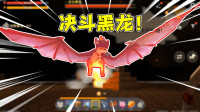 迷你世界单人生存32：一把小弓箭单挑黑龙，看我怎么以弱胜强！