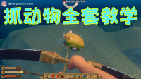 【Raft木筏求生】抓动物全套教学
