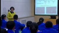 人教版初中七年级地理下册《印度》教学视频,河南省