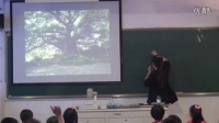 小学美术_浙人美2011课标版_二年级上册（2013年6月第1版）10 做一棵大树