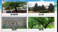 《1 秋天》部编版小学语文一上课堂实录-山东济南市_市中区-李臻