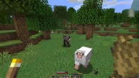 Kingvas的MC1.16.1极限生存【第三集-钻石与村民】