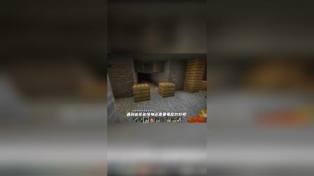 我的世界生存日记126：矿井深处发现神秘后花园！发现生命活动迹象！