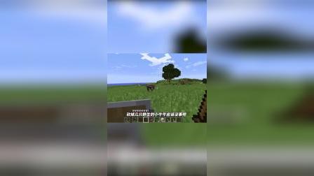 我的世界联机生存12：小月为我承包整座小岛？霸道女总裁爱上我？