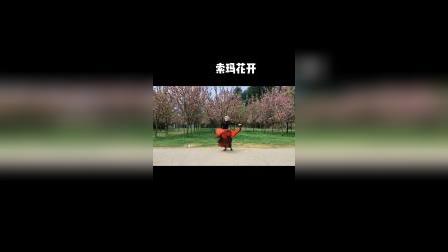 彝族舞蹈《索玛花开》2022年4月2日贵州省林科院
