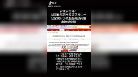 湖南禽流感（某音搬运）