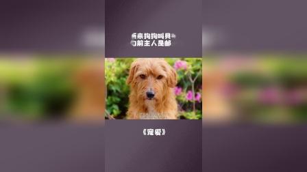 还记得是什么时候去电影院看过的，你们哭了吗