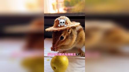 你可还记得最初想当什么职业么？