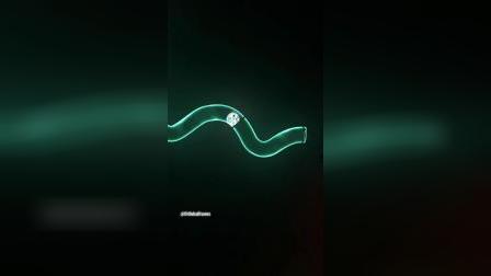 你记得这首歌吗? 超满足版