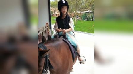 我的小公主第一次骑马